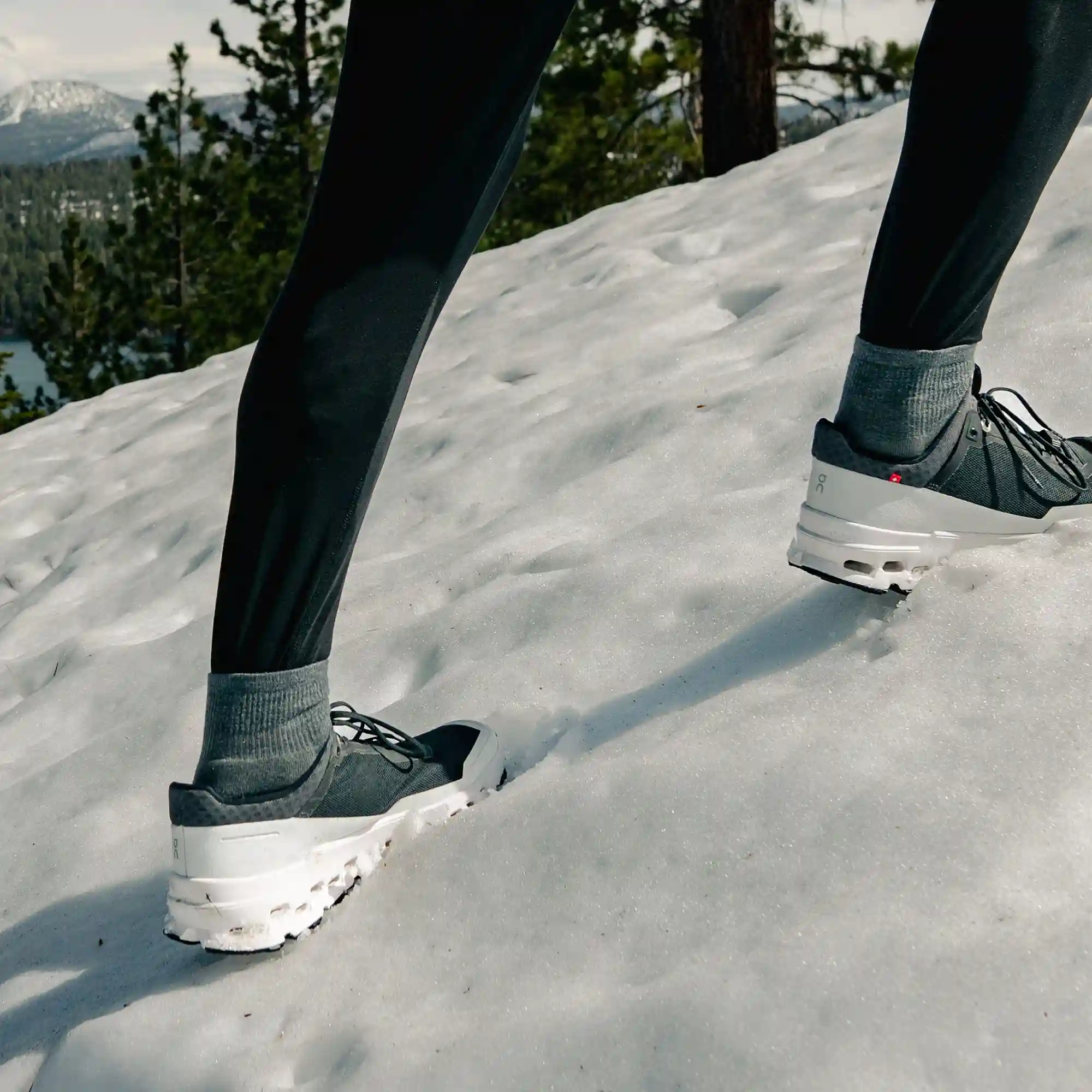Alternative view of Merino 10 Ultra Light Quarter 6 Pack